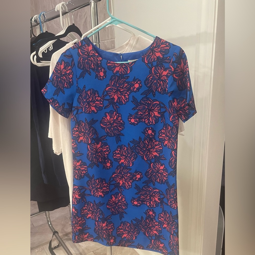 JCrew dress